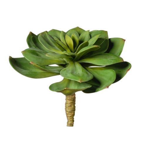 RAMO PIANTA GRASSA CM25 VERDE